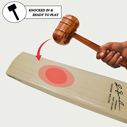 Image of SG Prokick Kashmir Willow Cricket Bat, Size - 4