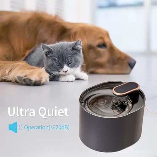 Alimentador de circulación inteligente para perros y gatos para el bienestar en el hogar 4