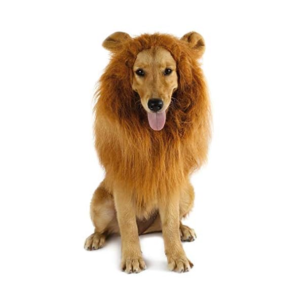 Dog lion mane - halloween realistic & funny lion mane for dogs - complementary lion mane for dog costumes - lion wig for medium to large sized dogs lion mane wig for dogs