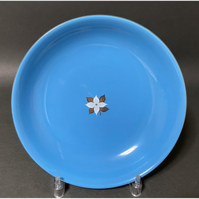 たち吉 中皿 カレー皿 直径21cm 9点 Amazon | たち吉 橘吉 カレー皿 パスタ皿 深皿 21㎝ 花もよう | ノー