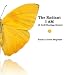 The Radiant I AM (A Self-Healing Guide)