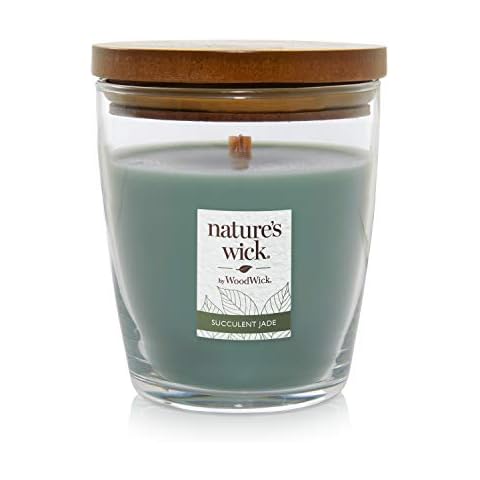 Nature's Wick Succulent Jade Scented Candle, 10 ounces, Medium Cover