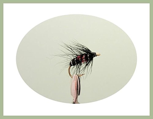 Wet Fishing flies, 12 Pack Bibio Wets, Mixed Size 10/12/14/16, For Fly Fishing