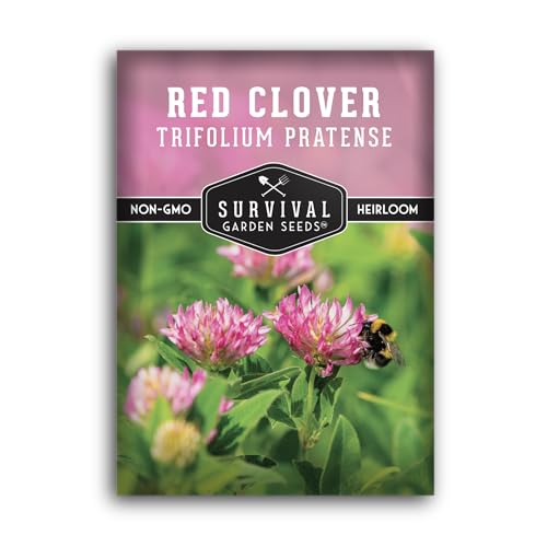 Red Clover Seeds for Planting Medicinal Herb Variety (1 Pack)