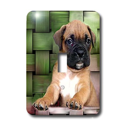 Boxer Puppy interrupteur simple 3dRose cache-prise contre les murs ternes - 3