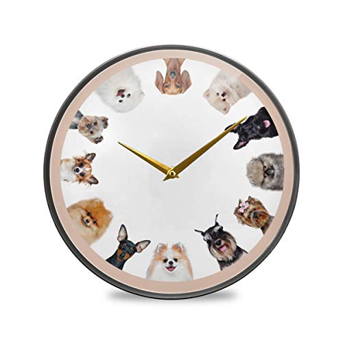 MiaoLD |v    Aj}   Ǌ|v TCg Abj  킢  Ǌ| v  É ǂv ₷ CeA  ItBX ~^ 30CM