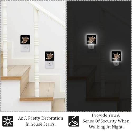 Image of NEWzone Cat Night Light [2 Pack], Plug in Wall Led Night Lights Decor for Boys Girls Room, Dusk to Dawn Sensor Wall Lamp for Stairway /Bedroom /Kitchen /Nursery Room