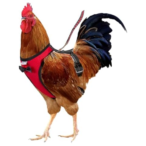 Yesito Chicken Harness Hen Size with 6ft Matching Leash – Adjustable, Resilient, Comfortable, Breathable, Large Size, Suitable for Chicken Weighing About 6.6 Pound,red Cover