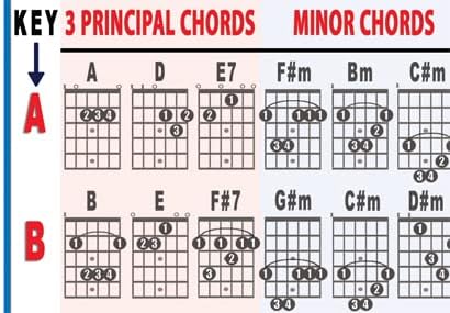 Walrus Productions Guitar Progressions Laminated Mini Chart | Poster 8.5"x11" | Beginner Adult Child Educational Reference