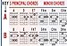 Mini Guitar Chord Chart Poster - Laminated Guitar Progressions Chord Poster for Beginners and Musicians - Guitar Chord Trainer - Acoustic Guitar Accessories - 8.5