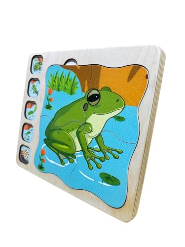 Image of Butterfly Life Cycle Layering Puzzle,Hen Life Cycle Layering Puzzle,Frog Life Cycle Layering Puzzle, Educational Puzzle and Toys for Kids Pack of 3
