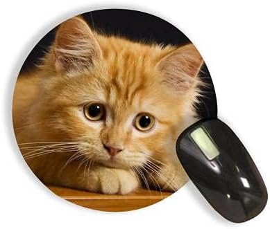 SHRI KRISHNA Personalized Mouse Pads Round with Your Photo Print Mouse Pads Personalized Gifts for Birthday