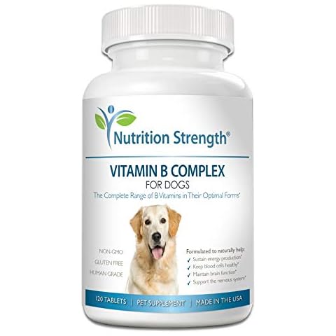 Nutrition Strength Vitamin B for Dogs, Complete B Complex for Dogs, Promote Blood Cell & Nervous System Health, Help Sustain Cellular Energy Production & Maintain Brain Function, 120 Chewable Tablets Cover