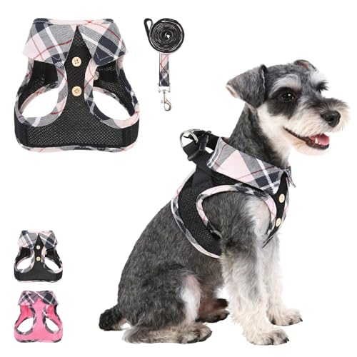 KOOLTAIL ^pn[lXƃ[VZbgAXebvCm[v&`[N\tgbVpbh蒲߉\J[X^CybgxXgn[lX^^ƔLpAiqȃn[lXAXS SqpAx[WS