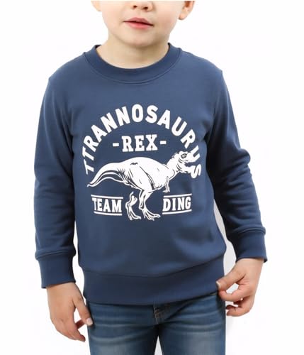 Image of Popshion Toddler Boys Sweatshirts Dinosaur Long Sleeve Pullover Crewneck Shirts Cartoon Tee Sport Tops for Kids 1-8T