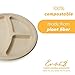 100% Compostable Disposable Paper Plates Bulk [10