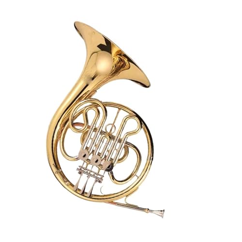 lp[tHjA Bt`z 4L[ VOE Xvbgs[X S҃oh