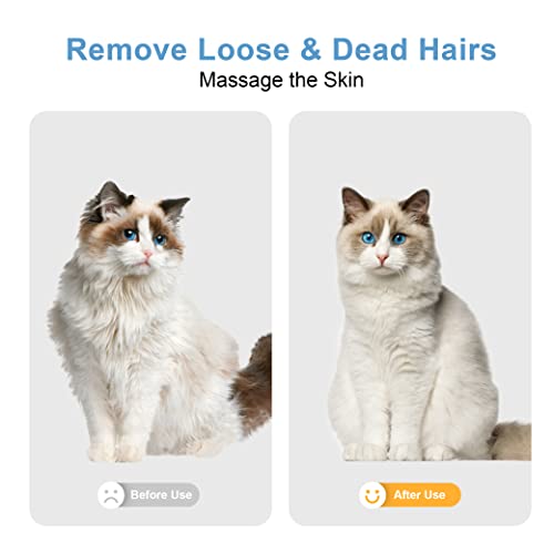 LIUCOLI Spazzola per Cani Gatti, Spazzola Gatto