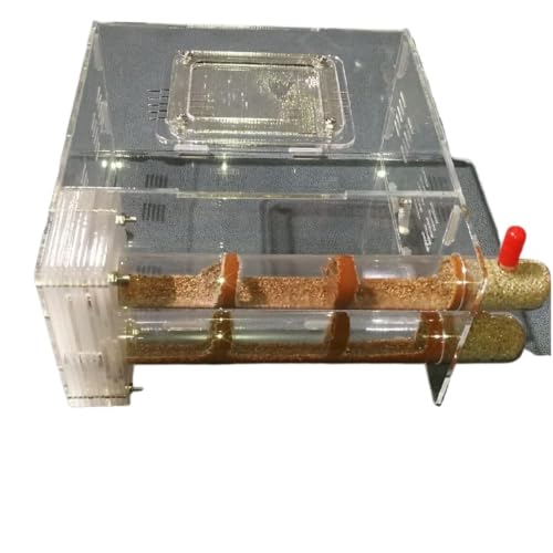 Formicario de Hormigas, Tubo de ensayo bambú, Nido Hormigas, Kit Ciencia observación Vidrio acrílico DIY, Varios tamaños