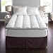 Pacific Coast Feather Company 42648 Euro Rest Quilted Top Feather Bed Natural-fill Mattress Topper, Hypoallergenic, King