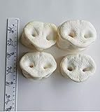 Schweinenasen 25 Stück. gepuffte Honignasen, wie Schweineohren, Kausnack