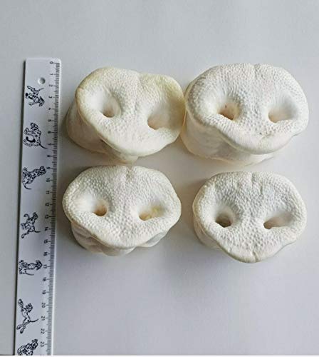 Schweinenasen 25 Stück. gepuffte Honignasen, wie Schweineohren, Kausnack