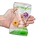 Coitak Liquid Motion Bubbler Timer for Sensory Play, Fidget Toy, Desk Top, 3 Pack, Assorted Colors (Style-1)