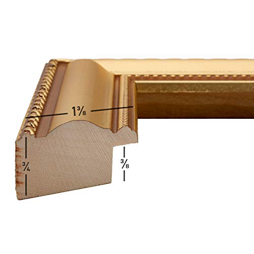 Craig Frames 16X20 Picture Frame For Home Decor, Victoria Gold 1.25" Painted Solid Wood, Wall Hanging #TOP3