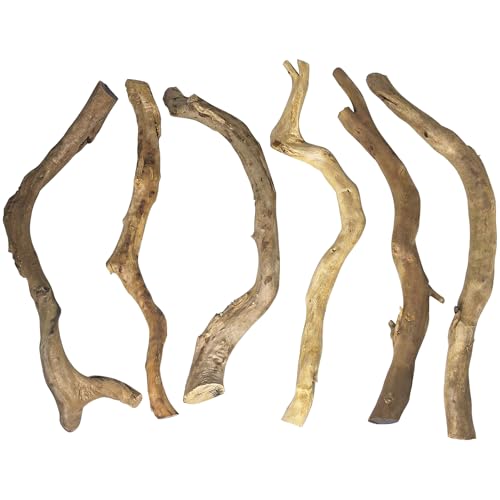 Hamiledyi VR ANAEp - bh[AEbh 25.4 cm-38.1 cm A\[g` (400g) SȎ} p̐঒ނ̐n - VRق̖ؐ(e})