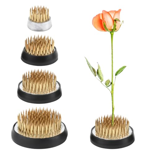 TMBMLPP 4 Stück Blume Frosch Rund Halterung für Arrangements Runder Ikebana Unterschiedliche Größe Kenzan Steckigel für Blumenarrangements Blumenläden Büros Gärten Teestuben (23mm/34mm/40mm/50mm)