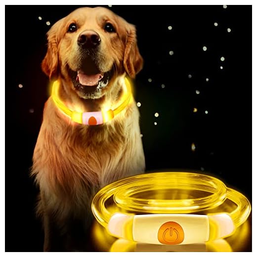 Docatgo Collar Perro Luminoso , Collar de Perro LED Recargable y Ajustable con 3 Modos de Luz, Seguro para Perros Pequeños, Medianos y Grandes por la Noche