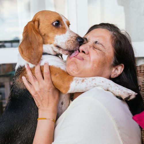Page de couverture de Mon chien a mauvaise haleine : que faire ?