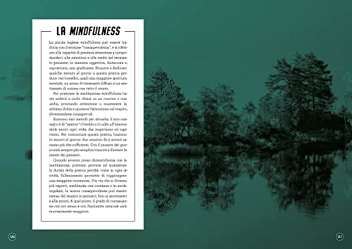 Re-Wild. 50 Percorsi Di Riconnessione Con La Natura. Ediz. A Colori - 11