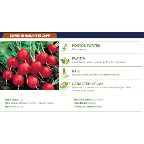 Sementes De Rabanete Zapp 100 Gramas Topseed Com Nota Fiscal
