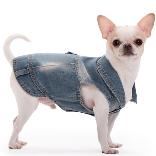 Chaqueta de mezclilla para perros talla pequeña miniatura 5
