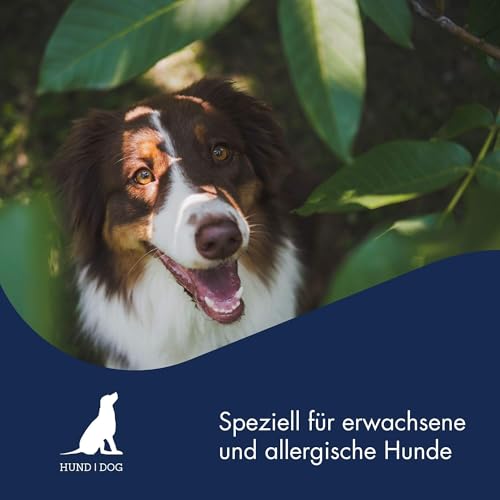 DR.CLAUDER'S - B.A.R.F. Komplett Menue Hühnerfrikassee | Fleischeintopf mit 100% Muskelfleisch, Innereien und Gemüse für ausgewachsene Hunde. Alleinfutter in der Dose | 800g Huhn