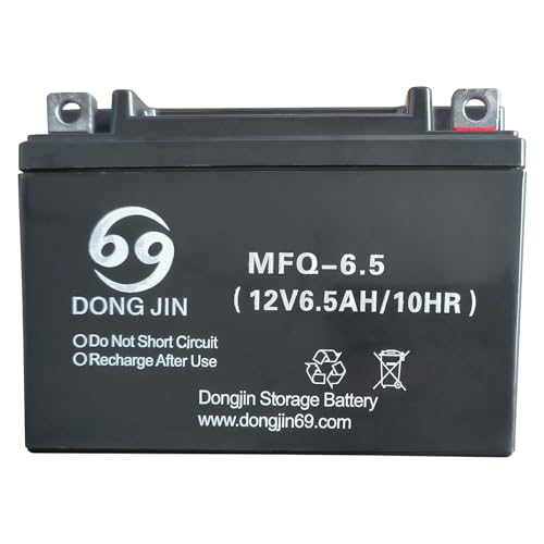 ICONSPORTSS 12V 6.5AH MFQ-6.5 AGM Motorcycle & ATV Battery