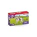 Schleich Horse Club - 7 PC Rider and Horse Toy Playset with Accessories - Realistic Rider and Lipizzaner Mare Figurine - Fun Toys for Girls and Boys - Collectible Figures for Kids Ages 5+ - 41433