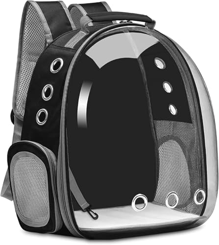 QINMOZH L L[obO Lp FDJvZ^ bNTbN  o ʋC e ϋv S ܂肽 pbht ubN (ubN)