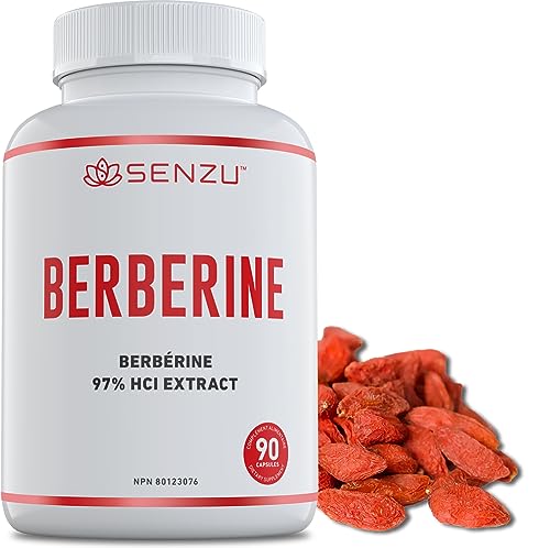 Ultra High Strength Berberine HCl - 97% Purity Extract Wild Harvested Berberine Supplement - Concentrated Berberine 500mg Supplements - 90 Veggie Capsules - Made in Canada