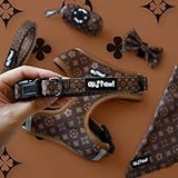 Royal Paw Set - 6-Piece Dog Harness Set with Leash, Collar, Poop Bag Holder, Bow Tie, and Bandana (Sizes S and M, Brown Monogram Pattern) (Medium)