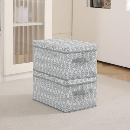 Image of HOKIPO Cloth Organiser for Storage - Under Bed & Wardrobe Organizer Storage Box with Lid | Non-Woven, Moisture-Resistant, Foldable | Pack of 2 Medium (AR-5813 * 2)