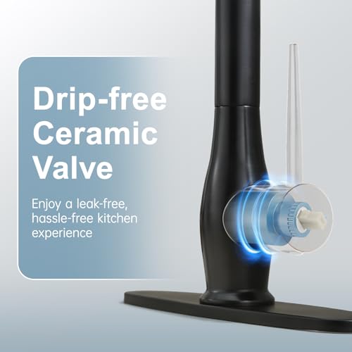 Image of GIMILI Oil Rubbed Bronze Kitchen Faucet with LED Single Handle Kitchen Sink Faucet with Pull Down Sprayer Commercial Double-Headed Stainless Steel Kitchen Faucets Sink with Deck Plate