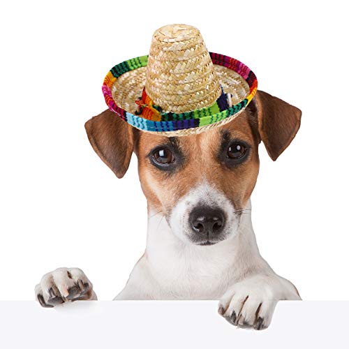 Roupas para cachorros-Chapéu Sombrero para Cachorro Engraçado Fantasia de Cachorro Chihuahua Roupas