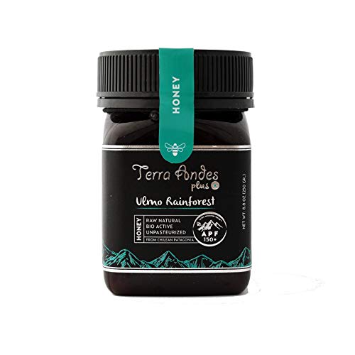 Ulmo Rainforest Raw Honey By Terra Andes Plus | Apf 150+ Pure Honey, 8.8 Oz #TOP26