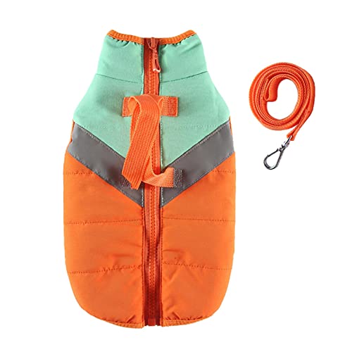 petsola  hR[g h \tgt[Xn ybgp~ ^pxXg fC[EFA nCLO q ^ ^ ^, IW