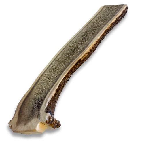 ChronoBalance-L Corno di Cervo per Cani, Confezione da 1, Dimezzato, 100% Naturale, Osso di Cervo, Cura Dentale, Giocattolo per Cani, Senza Sostanze Chimiche, Lunga Durata