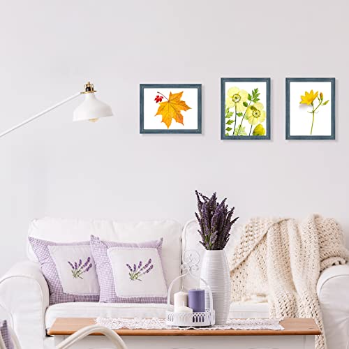 Frametory, 8.5X11 Picture Frame With Glass, Tabletop & Wall Horizontal Or Vertical Display, 8 1/2 X 11 Photo Frame For Diploma, Documents (Blue, 2-Pack) #TOP2