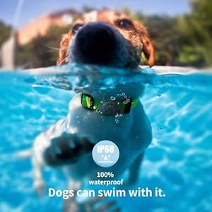 AirTag Dog Collar Holder(1 Pack), 100% Waterproof Air Tag Mount, Pet AirTag Holder for Dog & Cat Collars, Ultra-Durable Dog Collar AirTag Holder – Fits All Width Collars