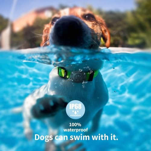 AirTag Dog Collar Holder(1 Pack), 100% Waterproof Air Tag Mount, Pet AirTag Holder for Dog & Cat Collars, Ultra-Durable Dog Collar AirTag Holder – Fits All Width Collars AirTag Dog Collar Holder(1 Pack), 100% Waterproof Air Tag Mount, Pet AirTag Holder for Dog & Cat Collars, Ultra-Durable Dog Collar AirTag Holder – Fits All Width Collars